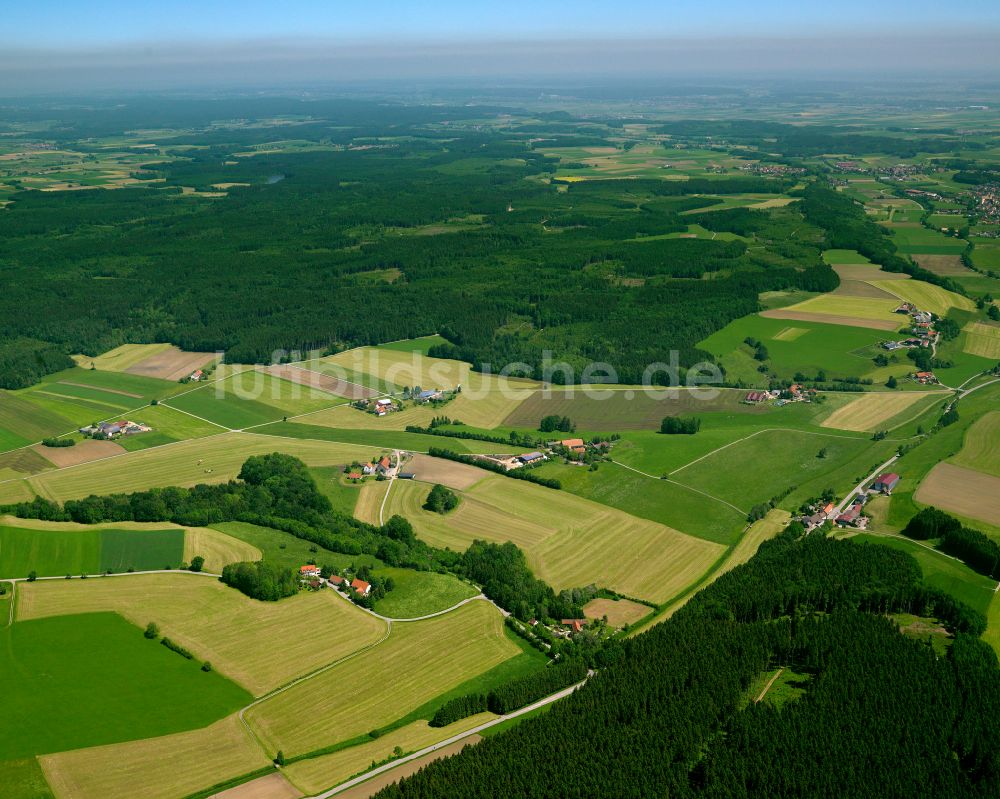 Berg von oben - Forstgebiete in einem Waldgebiet in Berg im Bundesland Baden-Württemberg, Deutschland