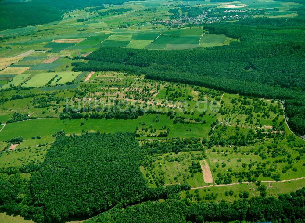 Luftbild Börrstadt - Forstgebiete in einem Waldgebiet in Börrstadt im Bundesland Rheinland-Pfalz, Deutschland