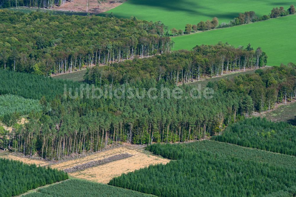 Crivitz aus der Vogelperspektive: Forstgebiete in einem Waldgebiet in Crivitz im Bundesland Mecklenburg-Vorpommern, Deutschland