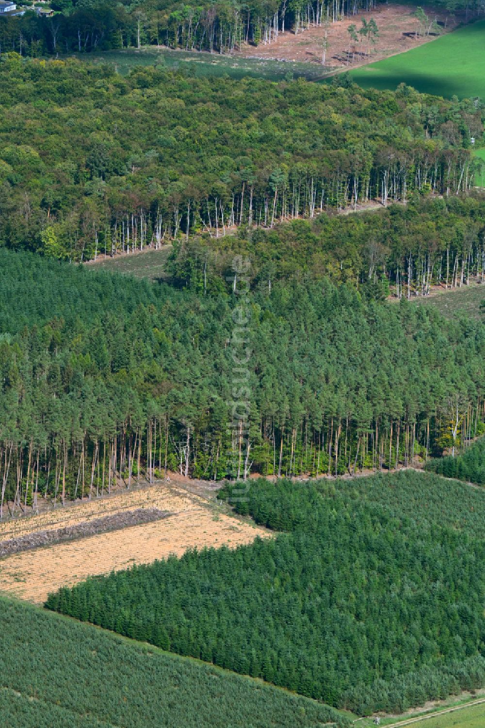 Luftbild Crivitz - Forstgebiete in einem Waldgebiet in Crivitz im Bundesland Mecklenburg-Vorpommern, Deutschland