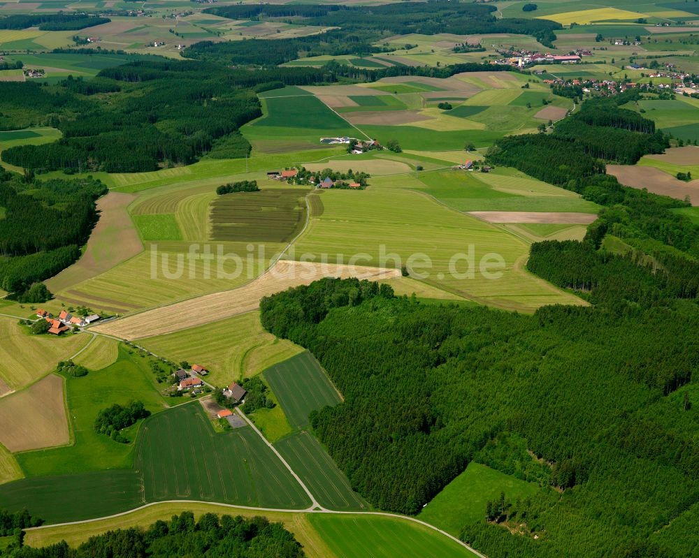 Eberhardzell von oben - Forstgebiete in einem Waldgebiet in Eberhardzell im Bundesland Baden-Württemberg, Deutschland