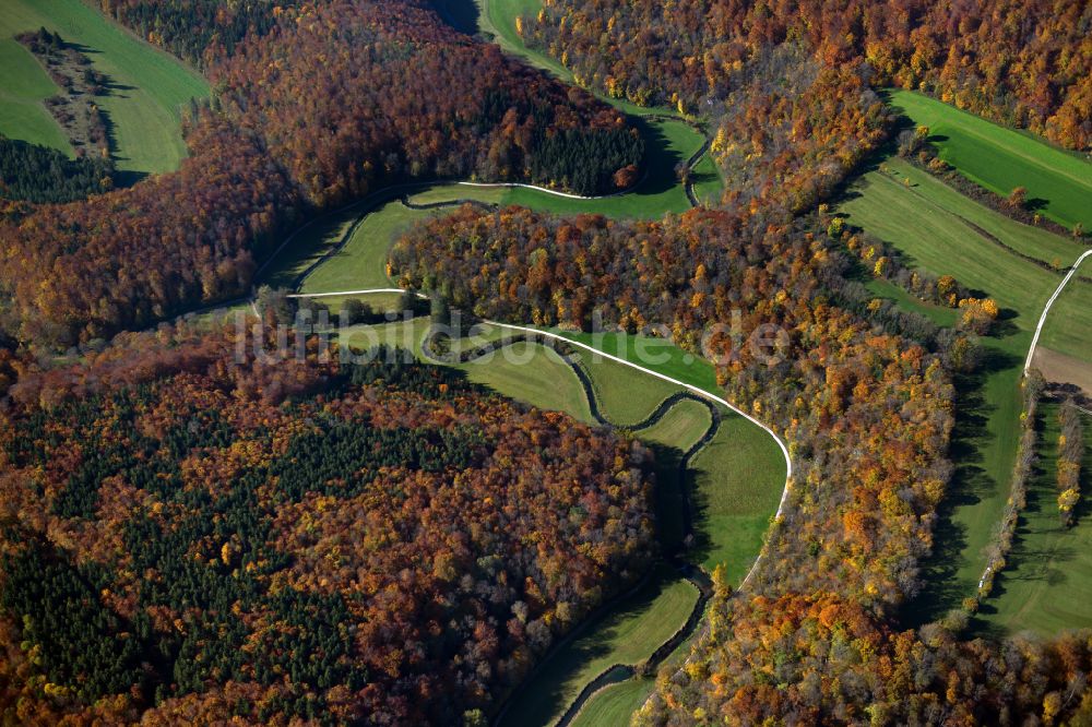 Ehingen (Donau) aus der Vogelperspektive: Forstgebiete in einem Waldgebiet in Ehingen (Donau) im Bundesland Baden-Württemberg, Deutschland