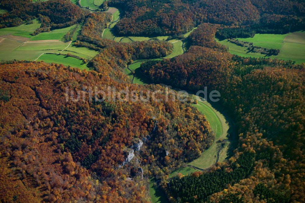 Luftaufnahme Ehingen (Donau) - Forstgebiete in einem Waldgebiet in Ehingen (Donau) im Bundesland Baden-Württemberg, Deutschland