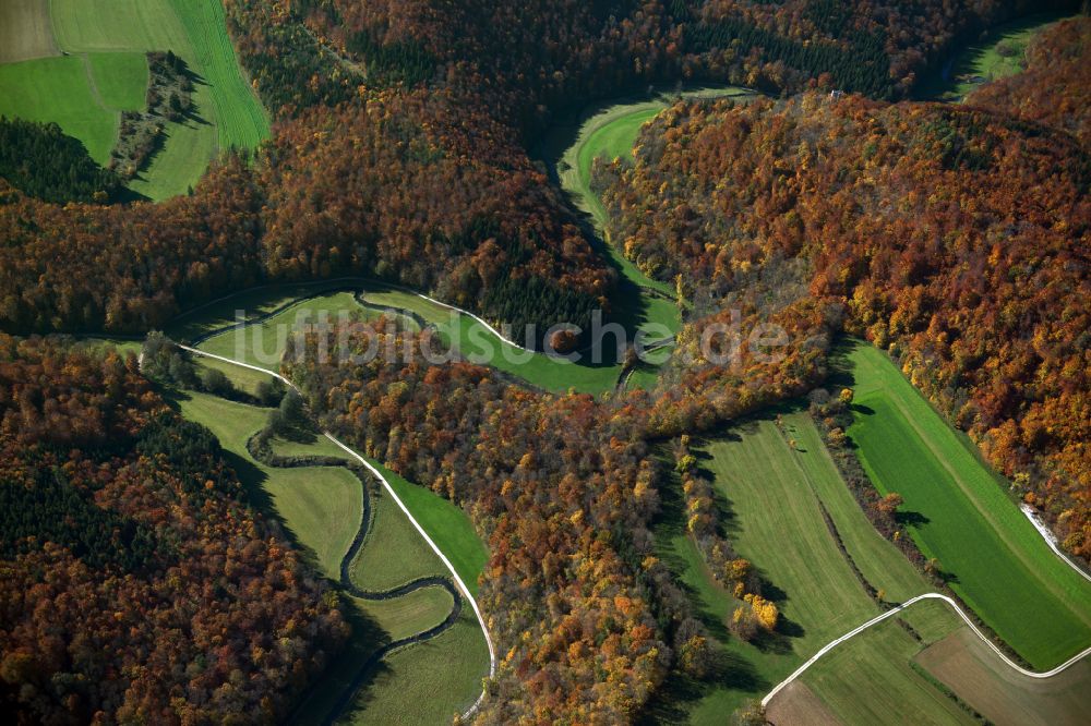 Ehingen (Donau) von oben - Forstgebiete in einem Waldgebiet in Ehingen (Donau) im Bundesland Baden-Württemberg, Deutschland