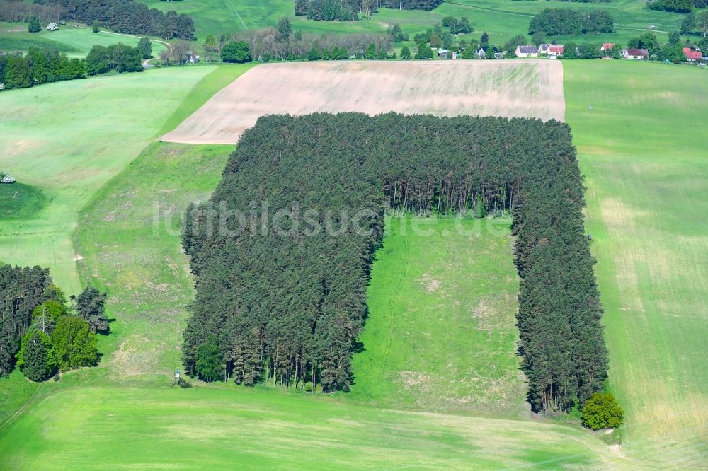 Altthymen von oben - Forstgebiete in einem Waldgebiet auf einem Feld in Altthymen im Bundesland Brandenburg, Deutschland