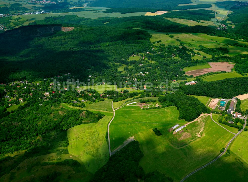 Falkenstein von oben - Forstgebiete in einem Waldgebiet in Falkenstein im Bundesland Rheinland-Pfalz, Deutschland
