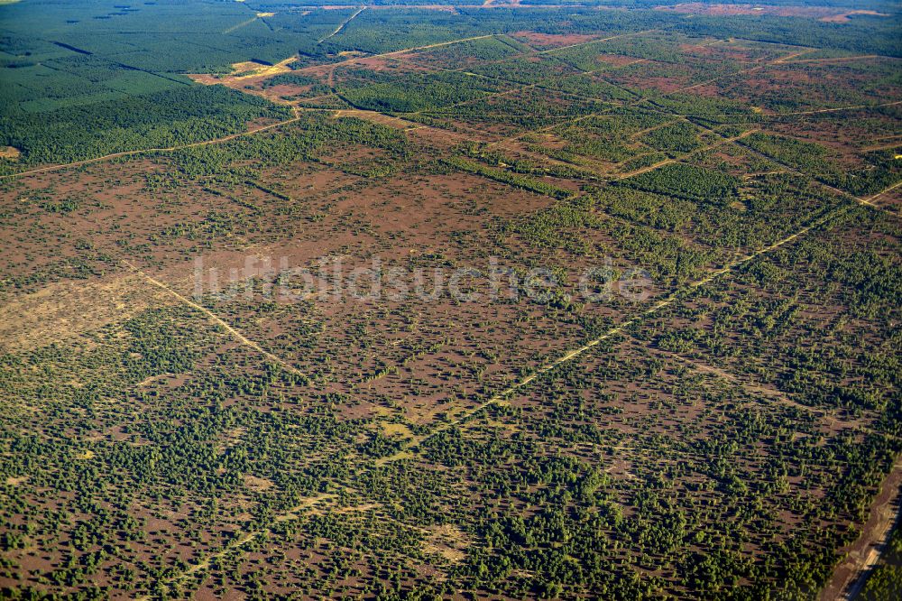 Luftaufnahme Flecken Zechlin - Forstgebiete in einem Waldgebiet in Flecken Zechlin im Bundesland Brandenburg, Deutschland