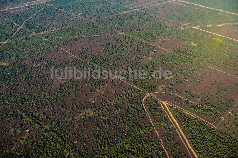 Flecken Zechlin aus der Vogelperspektive: Forstgebiete in einem Waldgebiet in Flecken Zechlin im Bundesland Brandenburg, Deutschland