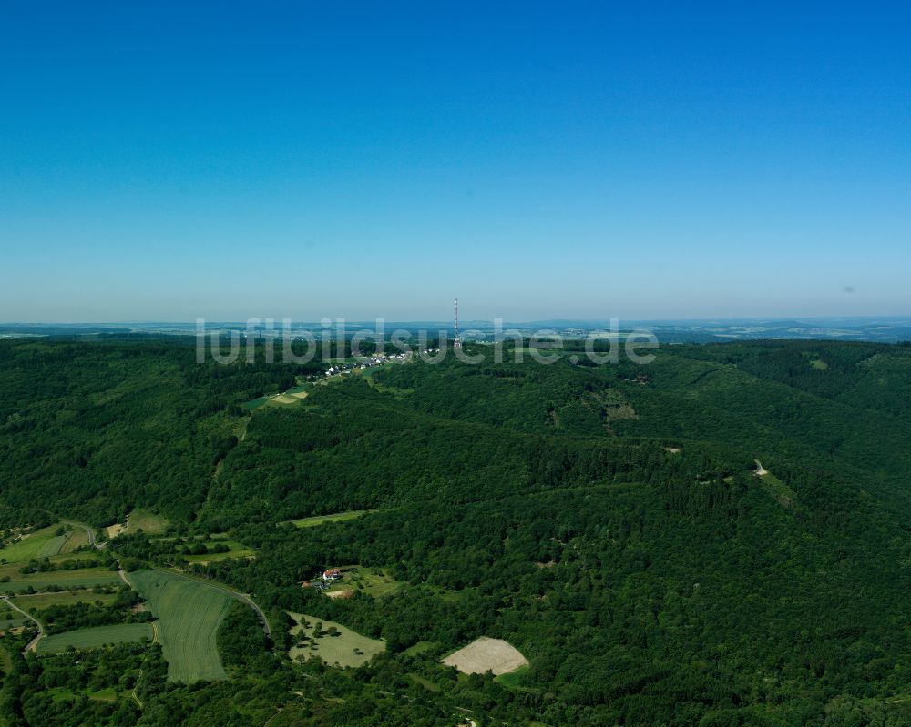 Fleckertshöhe von oben - Forstgebiete in einem Waldgebiet in Fleckertshöhe im Bundesland Rheinland-Pfalz, Deutschland