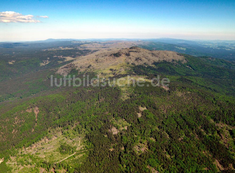 Luftaufnahme Frauenau - Forstgebiete in einem Waldgebiet in Frauenau im Bundesland Bayern, Deutschland