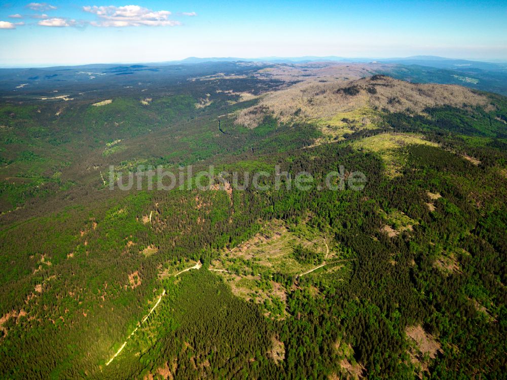 Frauenau von oben - Forstgebiete in einem Waldgebiet in Frauenau im Bundesland Bayern, Deutschland