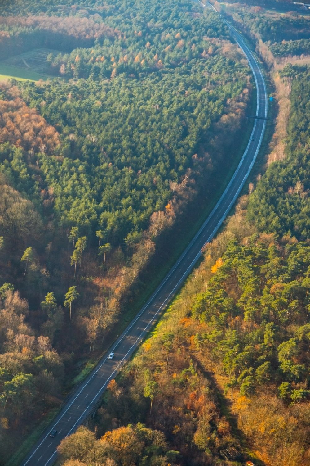 Luftbild Haltern am See - Forstgebiete in einem Waldgebiet in Haltern am See im Bundesland Nordrhein-Westfalen, Deutschland