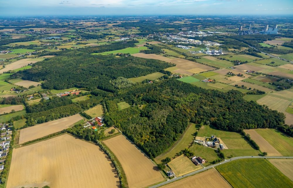 Luftbild Hamm - Forstgebiete in einem Waldgebiet in Hamm im Bundesland Nordrhein-Westfalen, Deutschland