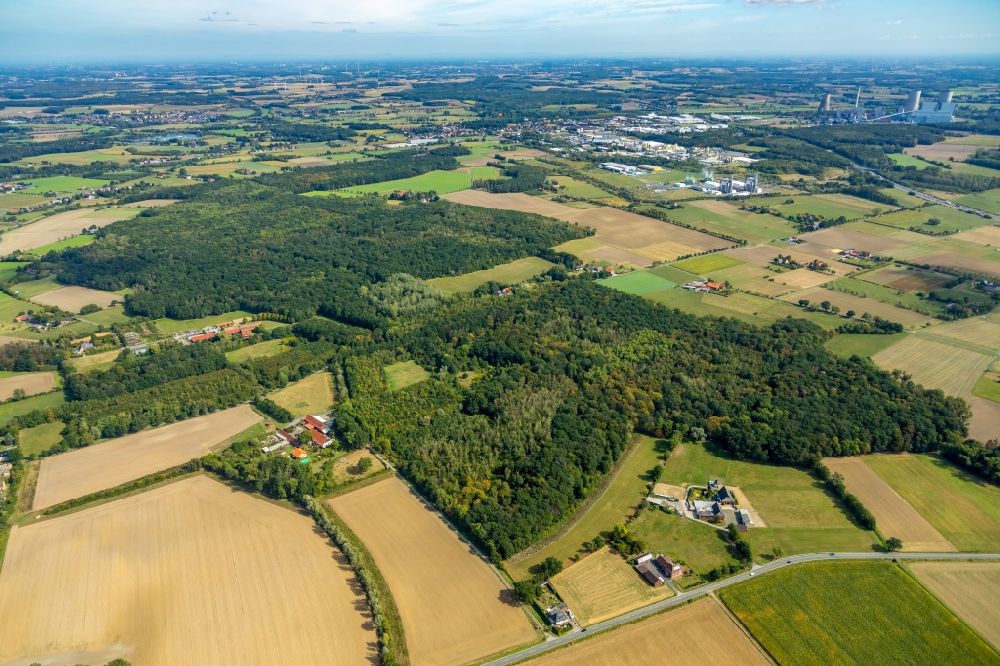 Luftaufnahme Hamm - Forstgebiete in einem Waldgebiet in Hamm im Bundesland Nordrhein-Westfalen, Deutschland