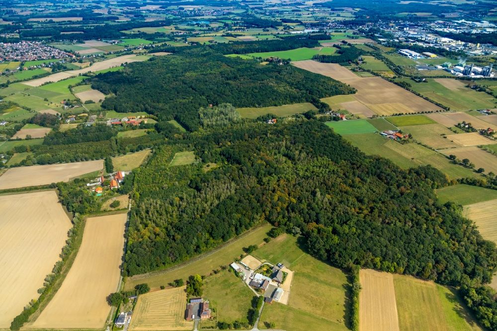 Hamm von oben - Forstgebiete in einem Waldgebiet in Hamm im Bundesland Nordrhein-Westfalen, Deutschland