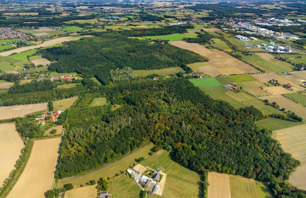 Hamm aus der Vogelperspektive: Forstgebiete in einem Waldgebiet in Hamm im Bundesland Nordrhein-Westfalen, Deutschland