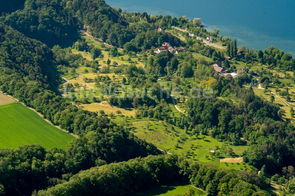 Luftbild Überlingen - Forstgebiete in einem Waldgebiet Hödinger Tobel in Überlingen im Bundesland Baden-Württemberg, Deutschland