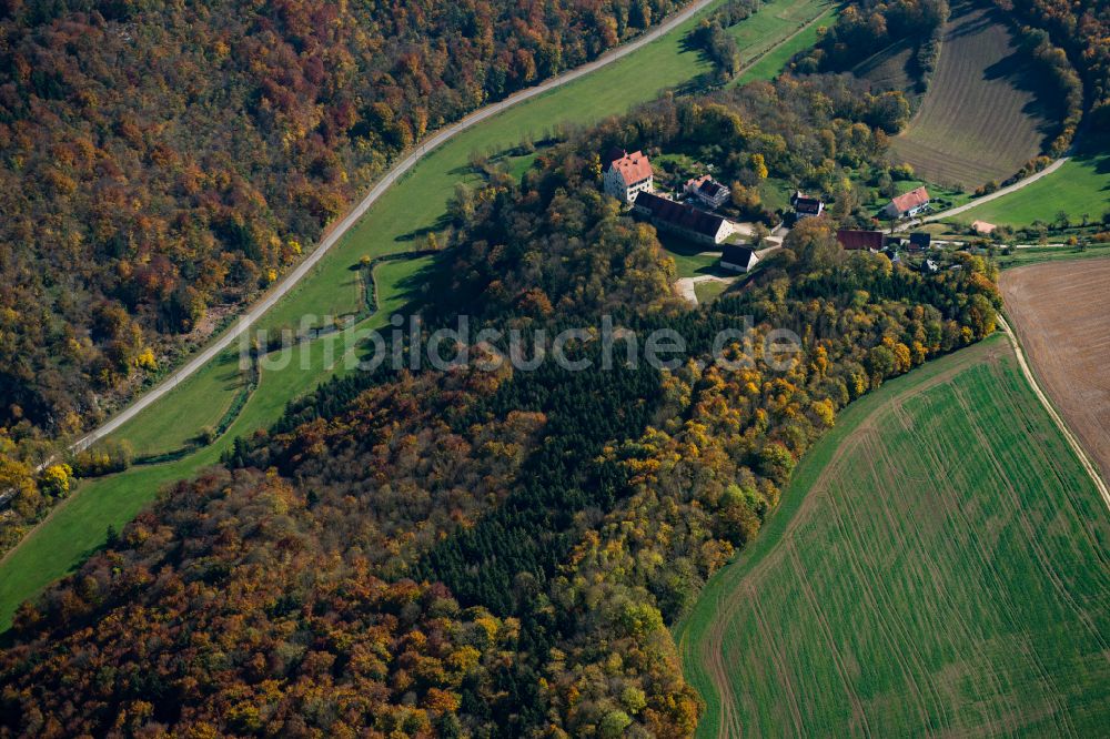 Herrlingen von oben - Forstgebiete in einem Waldgebiet in Herrlingen im Bundesland Baden-Württemberg, Deutschland