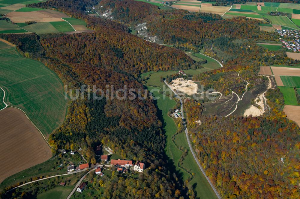 Herrlingen aus der Vogelperspektive: Forstgebiete in einem Waldgebiet in Herrlingen im Bundesland Baden-Württemberg, Deutschland