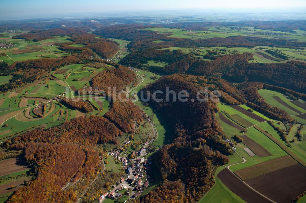 Hütten von oben - Forstgebiete in einem Waldgebiet in Hütten im Bundesland Baden-Württemberg, Deutschland