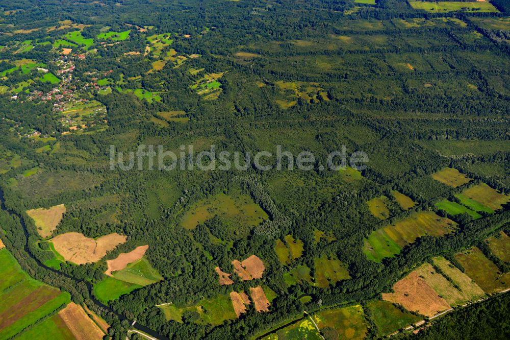 Lehde aus der Vogelperspektive: Forstgebiete in einem Waldgebiet in Lehde im Bundesland Brandenburg, Deutschland