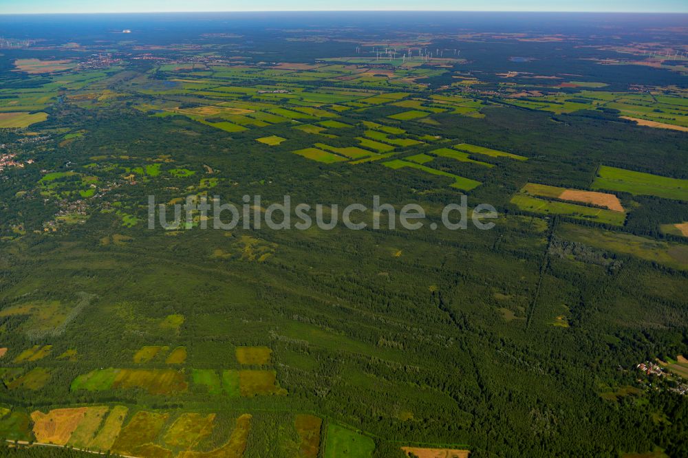 Luftbild Lehde - Forstgebiete in einem Waldgebiet in Lehde im Bundesland Brandenburg, Deutschland