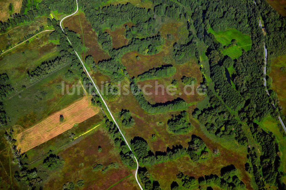 Luftaufnahme Lehde - Forstgebiete in einem Waldgebiet in Lehde im Bundesland Brandenburg, Deutschland