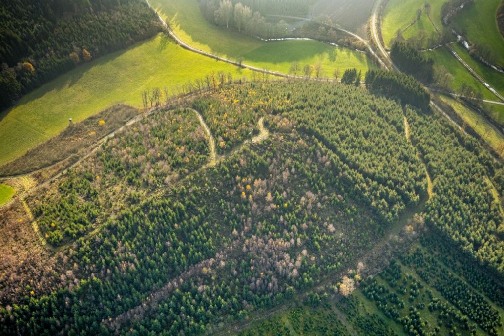 Bremke aus der Vogelperspektive: Forstgebiete in einem Waldgebiet auf dem Lumberg mit Gipfelkreuz in Bremke im Bundesland Nordrhein-Westfalen, Deutschland