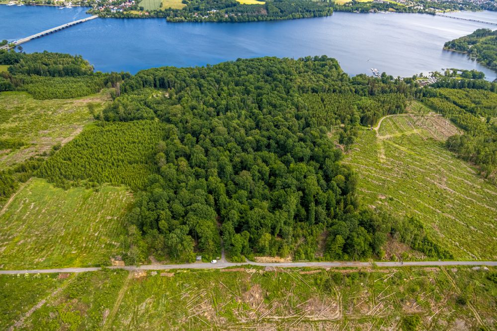 Möhnesee aus der Vogelperspektive: Forstgebiete in einem Waldgebiet in Möhnesee im Bundesland Nordrhein-Westfalen, Deutschland