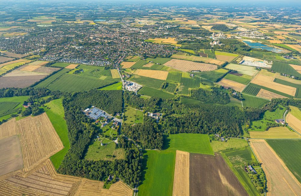 Luftbild Beckum - Forstgebiete in einem Waldgebiet Naturerlebnispark Höxberg in Beckum im Bundesland Nordrhein-Westfalen, Deutschland