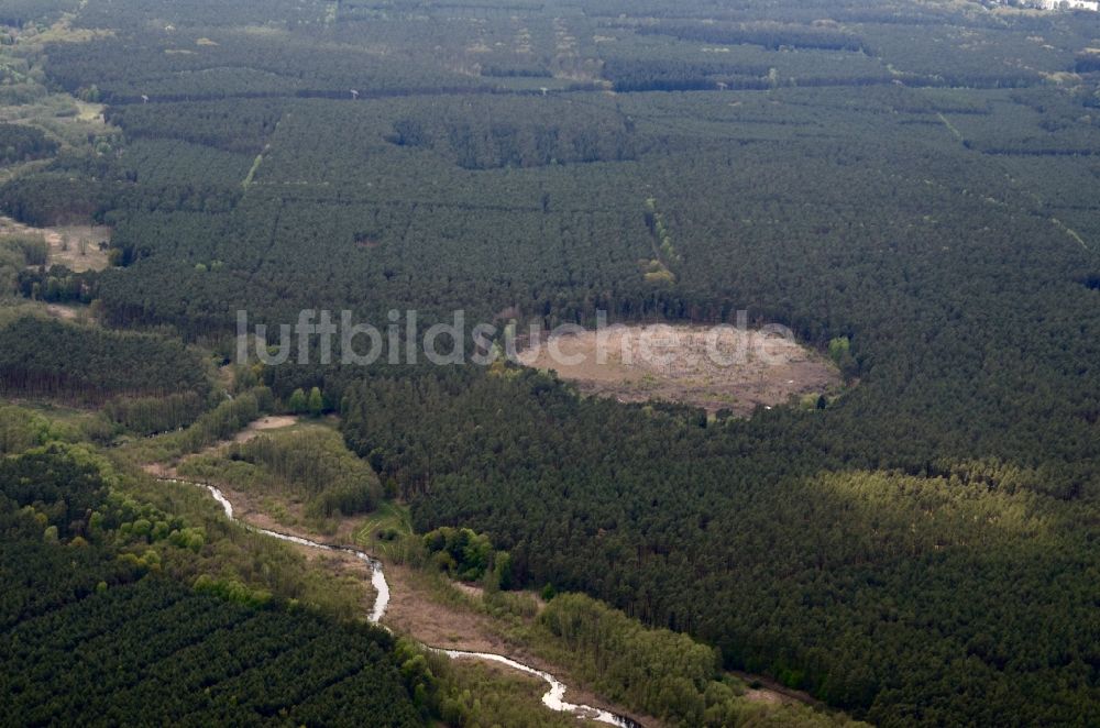 Kagel von oben - Forstgebiete in einem Waldgebiet Naturschutzgebiet Löcknitztal in Kagel im Bundesland Brandenburg, Deutschland