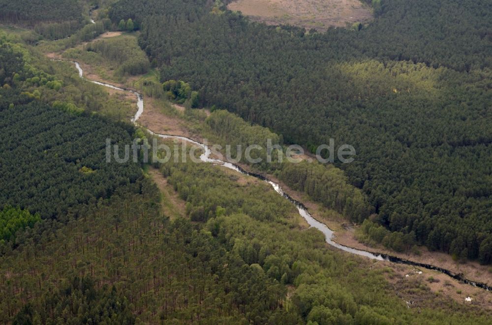 Kagel aus der Vogelperspektive: Forstgebiete in einem Waldgebiet Naturschutzgebiet Löcknitztal in Kagel im Bundesland Brandenburg, Deutschland