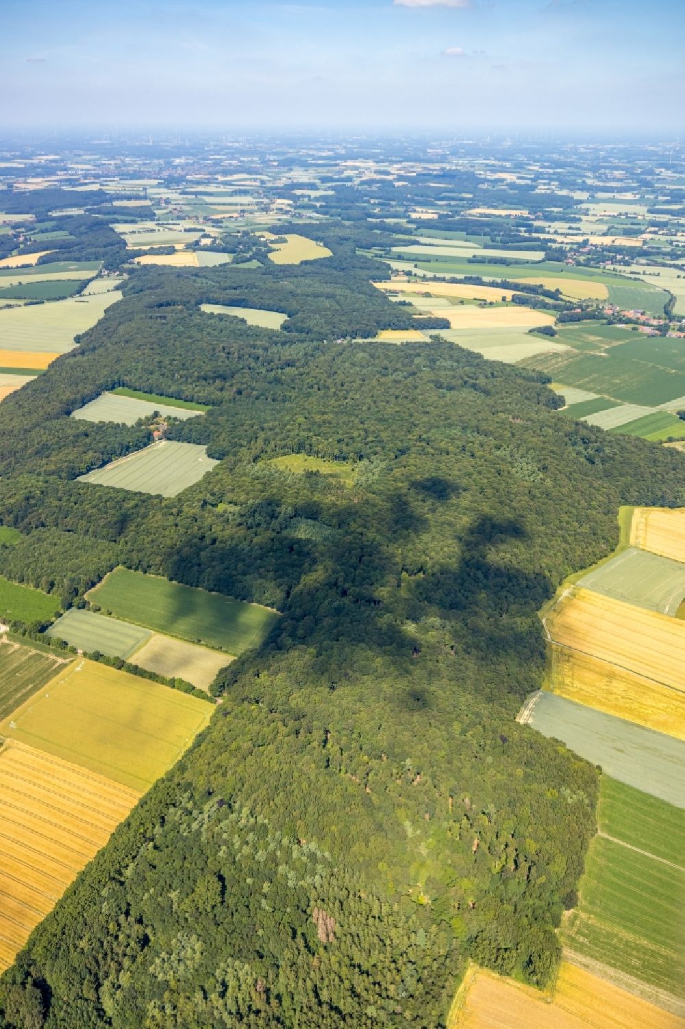 Nottuln aus der Vogelperspektive: Forstgebiete in einem Waldgebiet in Nottuln im Bundesland Nordrhein-Westfalen, Deutschland