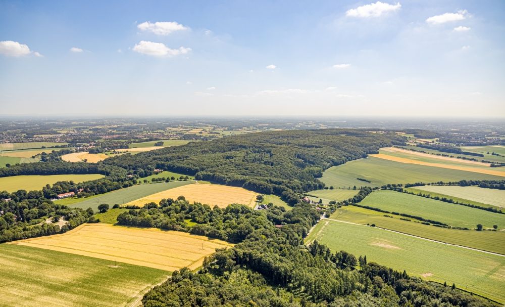 Luftbild Nottuln - Forstgebiete in einem Waldgebiet in Nottuln im Bundesland Nordrhein-Westfalen, Deutschland