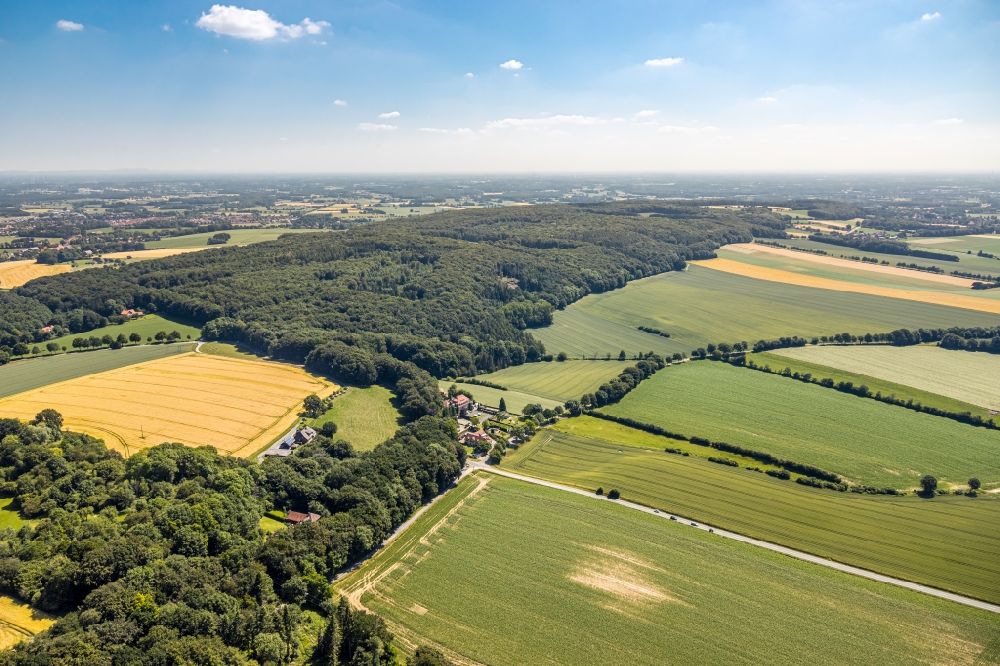 Luftaufnahme Nottuln - Forstgebiete in einem Waldgebiet in Nottuln im Bundesland Nordrhein-Westfalen, Deutschland