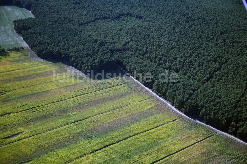 Luftbild Nuthe-Urstromtal - Forstgebiete in einem Waldgebiet in Nuthe-Urstromtal im Bundesland Brandenburg, Deutschland