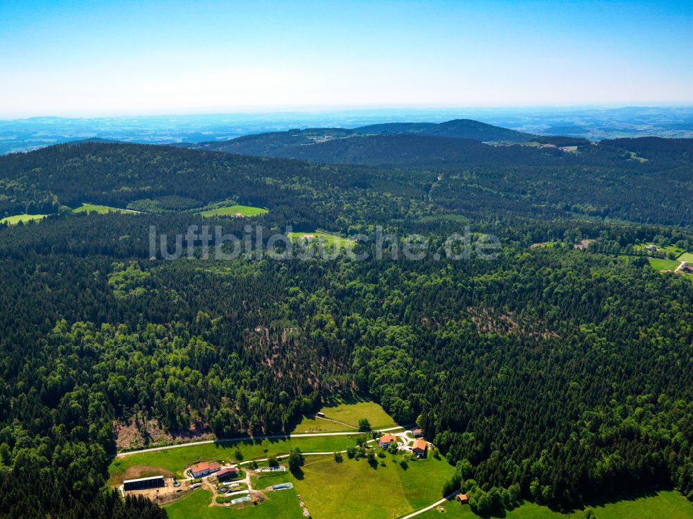 Luftaufnahme Oberfrauenwald - Forstgebiete in einem Waldgebiet in Oberfrauenwald im Bundesland Bayern, Deutschland