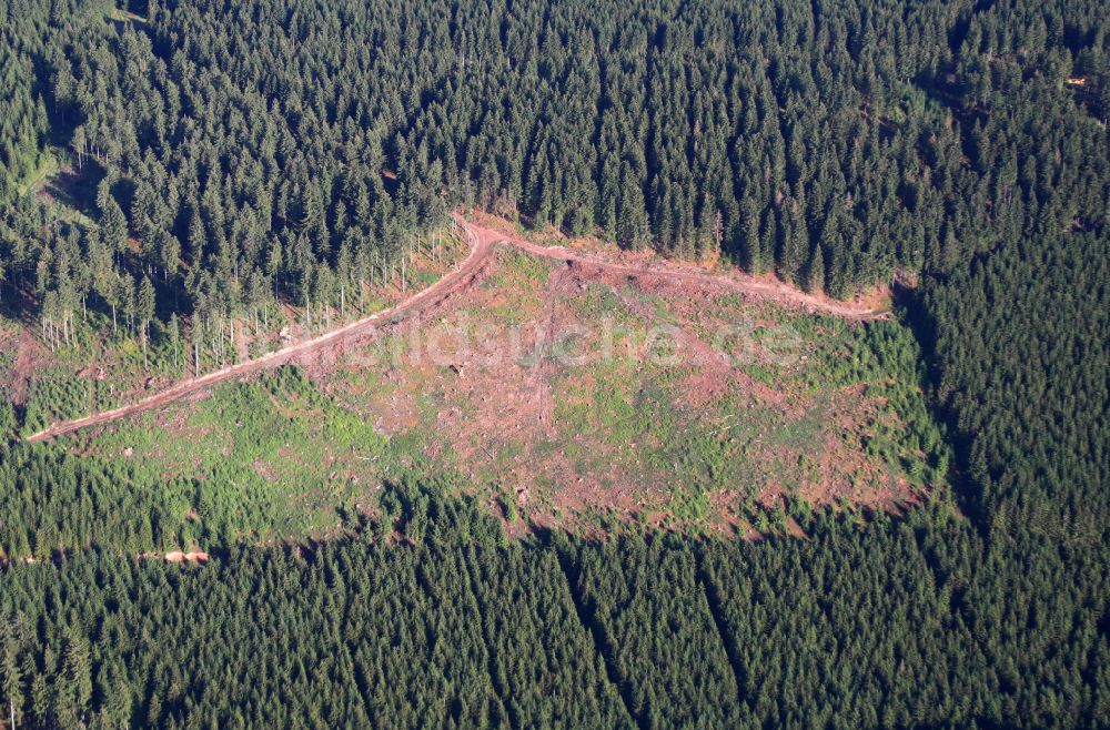 Luftaufnahme Oberhof - Forstgebiete in einem Waldgebiet in Oberhof im Bundesland Thüringen, Deutschland
