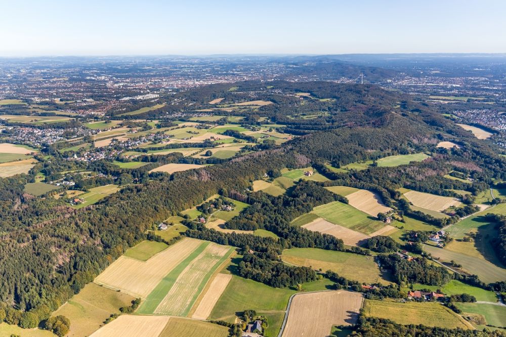 Luftaufnahme Steinhagen - Forstgebiete in einem Waldgebiet am Rand von landwirtschaftlichen Feldern am Krebsbach- und Horstbachtal in Steinhagen im Bundesland Nordrhein-Westfalen, Deutschland