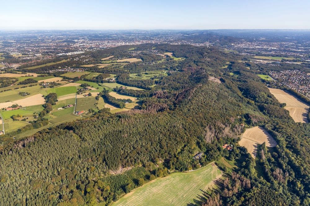 Bielefeld von oben - Forstgebiete in einem Waldgebiet am Rand von landwirtschaftlichen Feldern am Krebsbach- und Horstbachtal in Steinhagen im Bundesland Nordrhein-Westfalen, Deutschland