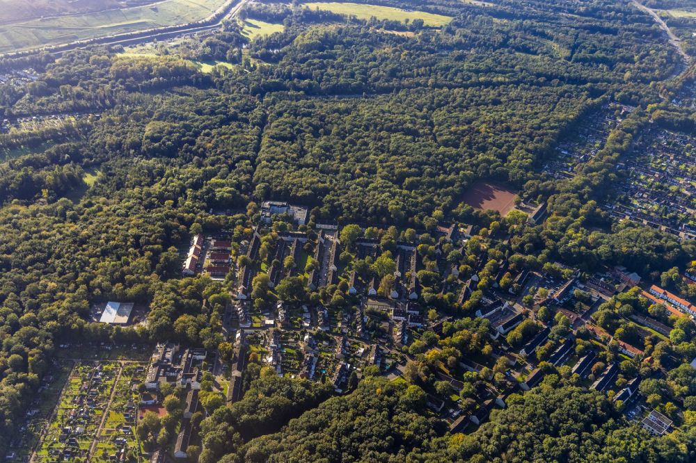 Luftbild Resser Mark - Forstgebiete in einem Waldgebiet in Resser Mark im Bundesland Nordrhein-Westfalen, Deutschland