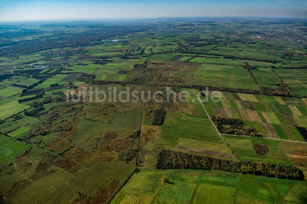 Luftbild Riedheim - Forstgebiete in einem Waldgebiet in Riedheim im Bundesland Bayern, Deutschland