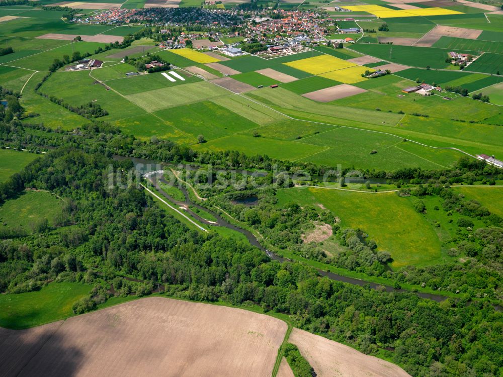 Luftaufnahme Riedlingen - Forstgebiete in einem Waldgebiet in Riedlingen im Bundesland Baden-Württemberg, Deutschland