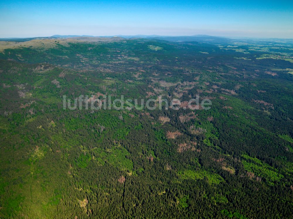 Luftaufnahme Sankt Oswald - Forstgebiete in einem Waldgebiet in Sankt Oswald im Bundesland Bayern, Deutschland