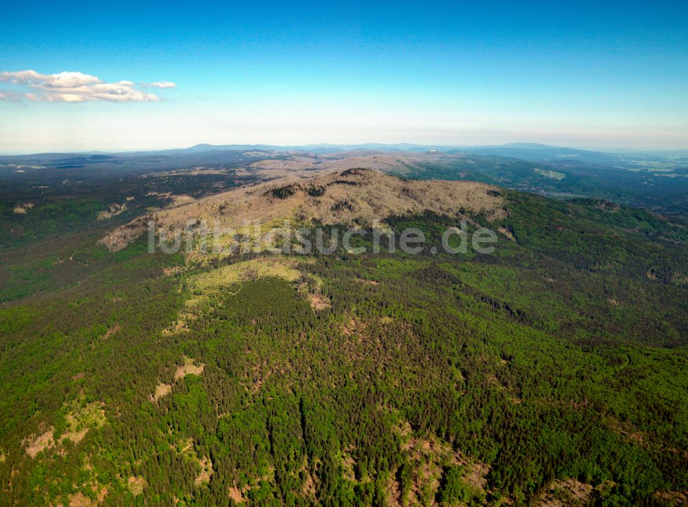 Luftbild Sankt Oswald-Riedlhütte - Forstgebiete in einem Waldgebiet in Sankt Oswald-Riedlhütte im Bundesland Bayern, Deutschland