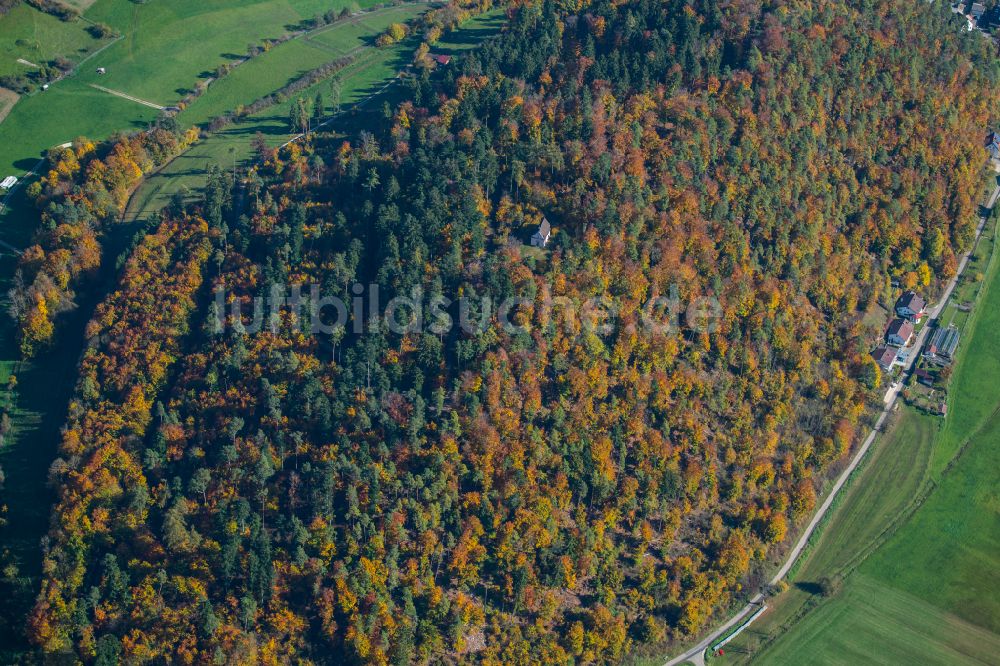 Luftbild Schelklingen - Forstgebiete in einem Waldgebiet in Schelklingen im Bundesland Baden-Württemberg, Deutschland