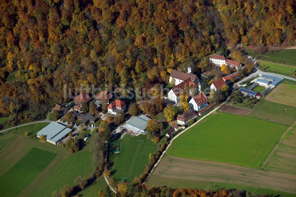 Schelklingen von oben - Forstgebiete in einem Waldgebiet in Schelklingen im Bundesland Baden-Württemberg, Deutschland