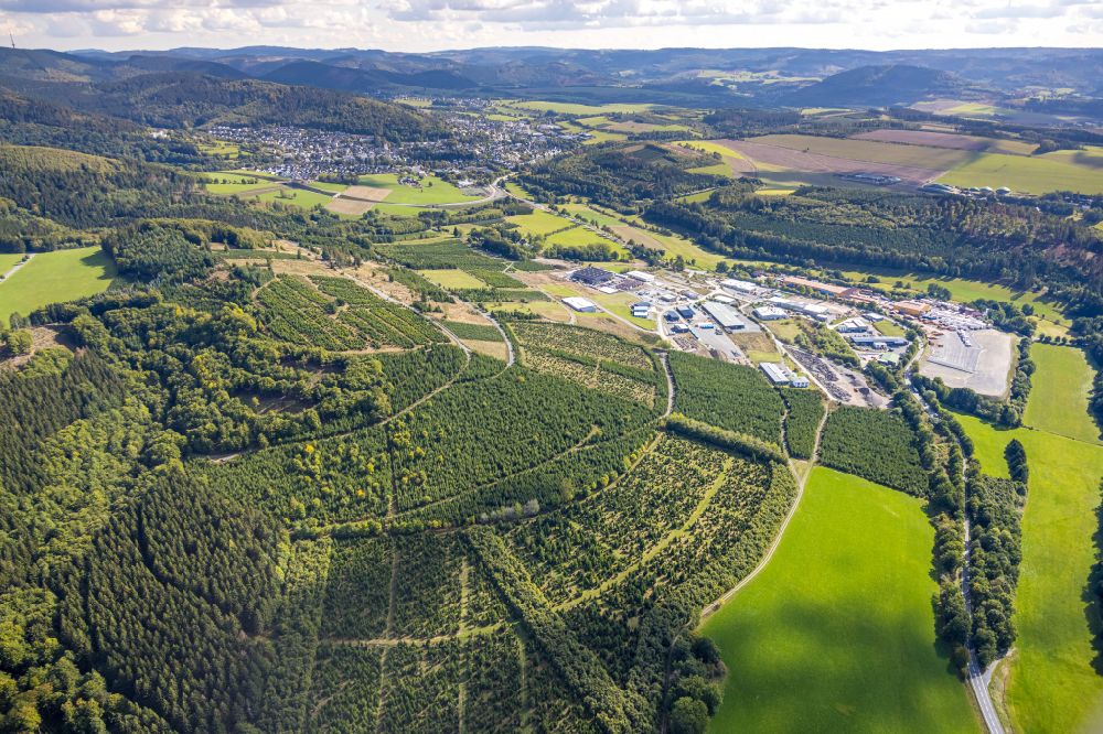 Luftaufnahme Schmallenberg - Forstgebiete in einem Waldgebiet in Schmallenberg im Bundesland Nordrhein-Westfalen, Deutschland