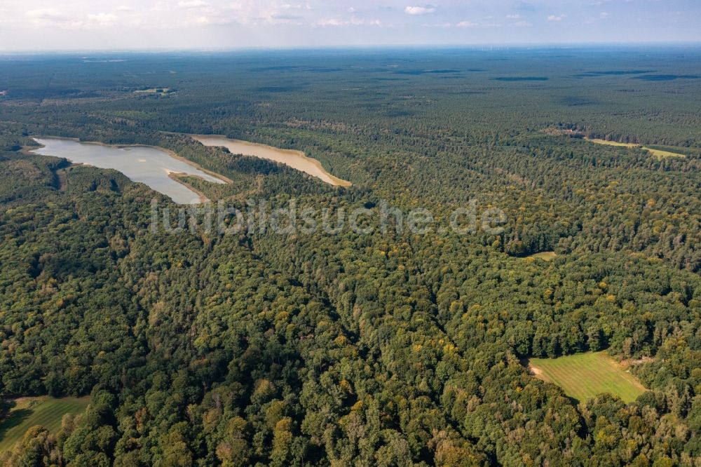 Luftaufnahme Schorfheide - Forstgebiete in einem Waldgebiet in der Schorfheide, im Bundesland Brandenburg, Deutschland