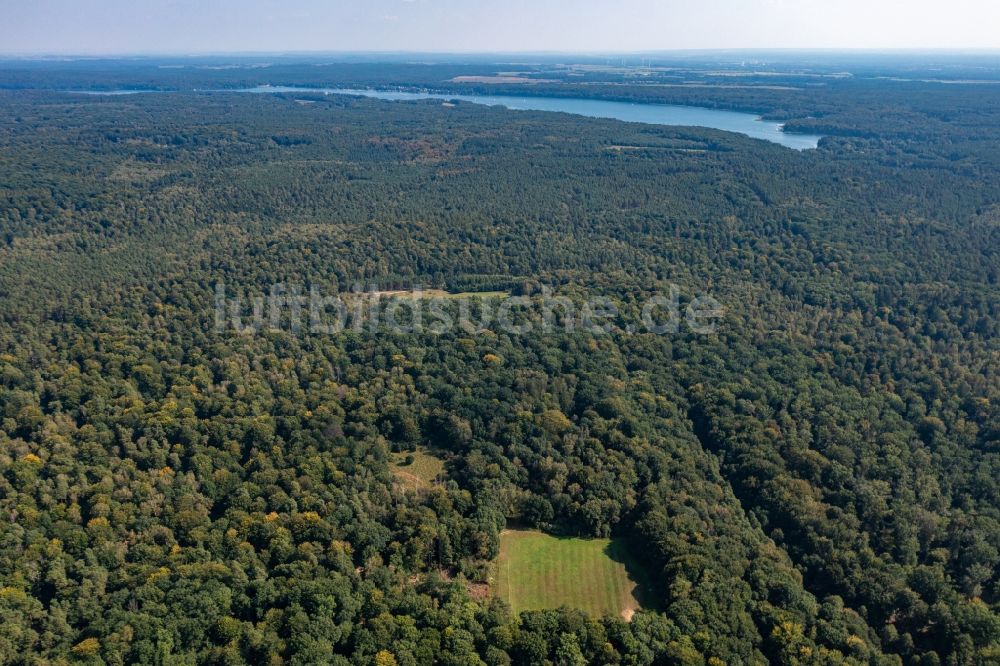 Schorfheide aus der Vogelperspektive: Forstgebiete in einem Waldgebiet in der Schorfheide, im Bundesland Brandenburg, Deutschland